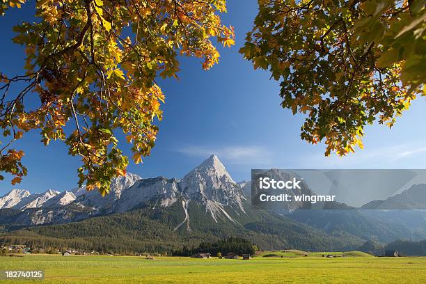 Prado De Verão Perto Ehrwald - Fotografias de stock e mais imagens de Aberto - Aberto, Alpes Europeus, Ao Ar Livre