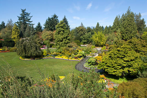 istock Elizabeth Park Gardens, Vancouver, British Columbia 182740398