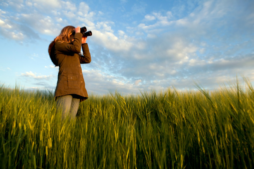 Woman is standing in the high wheat in the golden hour and exploring the nature thru binoculars.See some similar pictures from my portfolio: