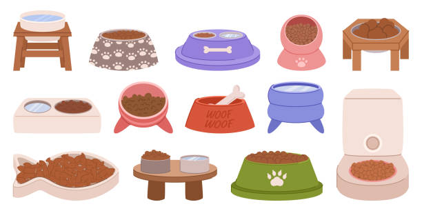 zestaw misek na karmę dla zwierząt w różnych rozmiarach i kolorach. wytrzymałe talerze ozdobione są zabawnymi odciskami łap - dog domestic cat pets cartoon stock illustrations