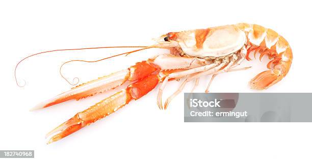 Shrimp Isolated On White Stock Photo - Download Image Now - Claw, Crustacean, Cut Out