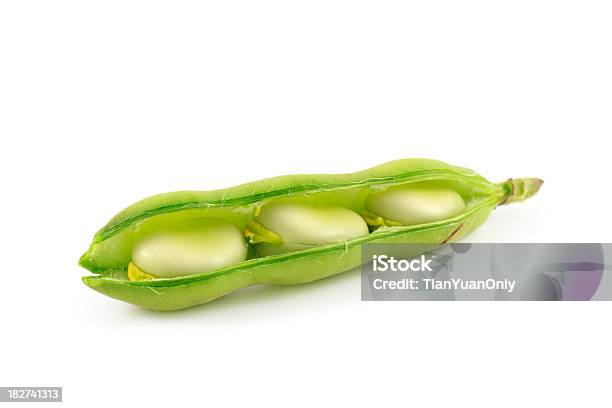 Broad Bean Stockfoto und mehr Bilder von Freisteller – Neutraler Hintergrund - Freisteller – Neutraler Hintergrund, Puffbohne, Bohne