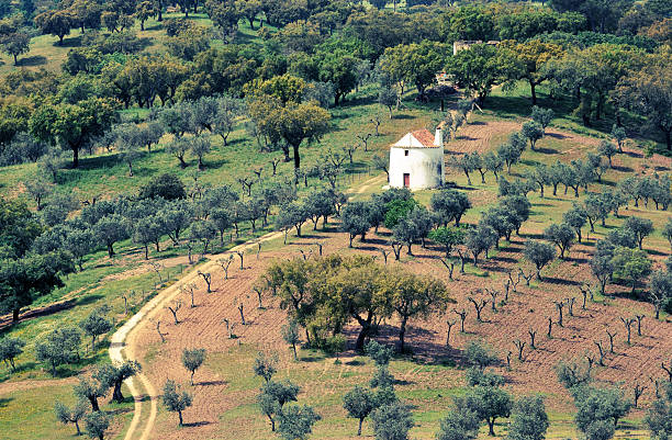 Landscape in Castelo de Vide,Alentejo stock photo