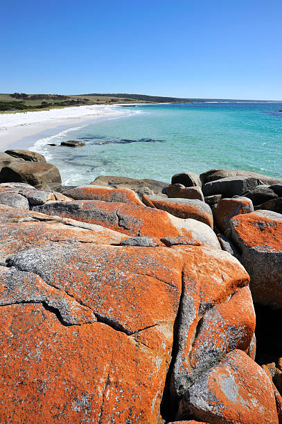 Bay of Fires "Red rocks at Bay of Fires, East Coast in Tasmania, AustraliaRelated images:" bay of fires photos stock pictures, royalty-free photos & images