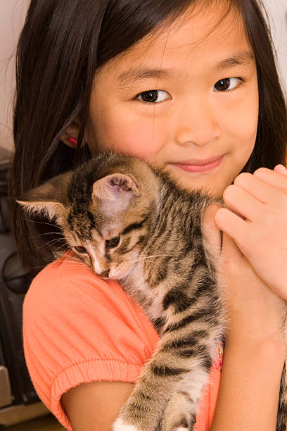 Beautiful Chinese little girl holds her new kitten