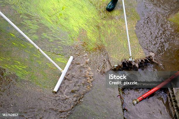 Flushing Schmutzig Wasser In Kanalisationsabflüsse Drainenglische Redewendung Stockfoto und mehr Bilder von Reinigen