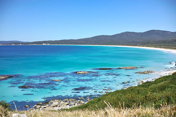 Bay of Fires "White sand beach at Bay of Fires, East Coast in Tasmania, AustraliaRelated images:" bay of fires photos stock pictures, royalty-free photos & images