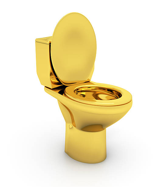 mangkuk toilet emas - toilet perlengkapan rumah tangga yang terpasang ilustrasi potret stok, foto, & gambar bebas royalti