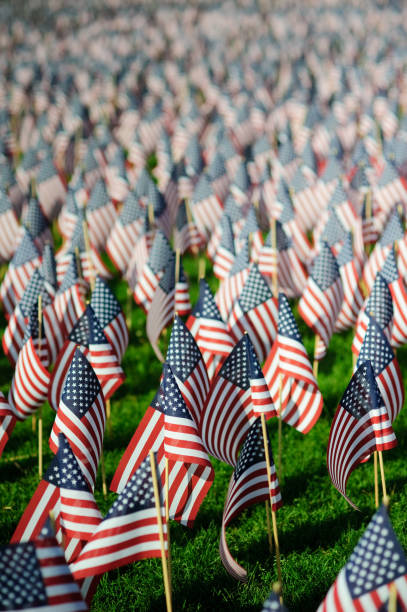 Memorial Day Flags – Foto