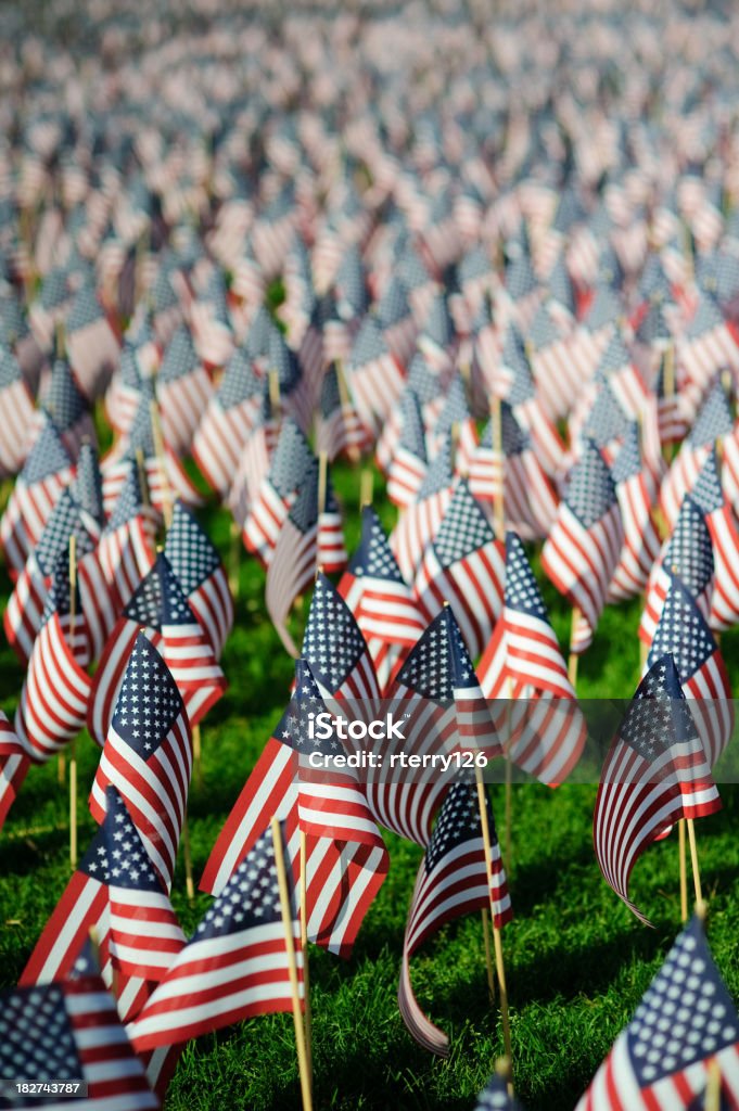 Memorial Day Flags - Foto de stock de Bandeira Norte-Americana royalty-free