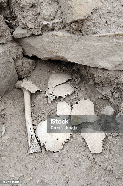 Ossa Umane - Fotografie stock e altre immagini di Antica civiltà - Antica civiltà, Cimitero, Composizione verticale