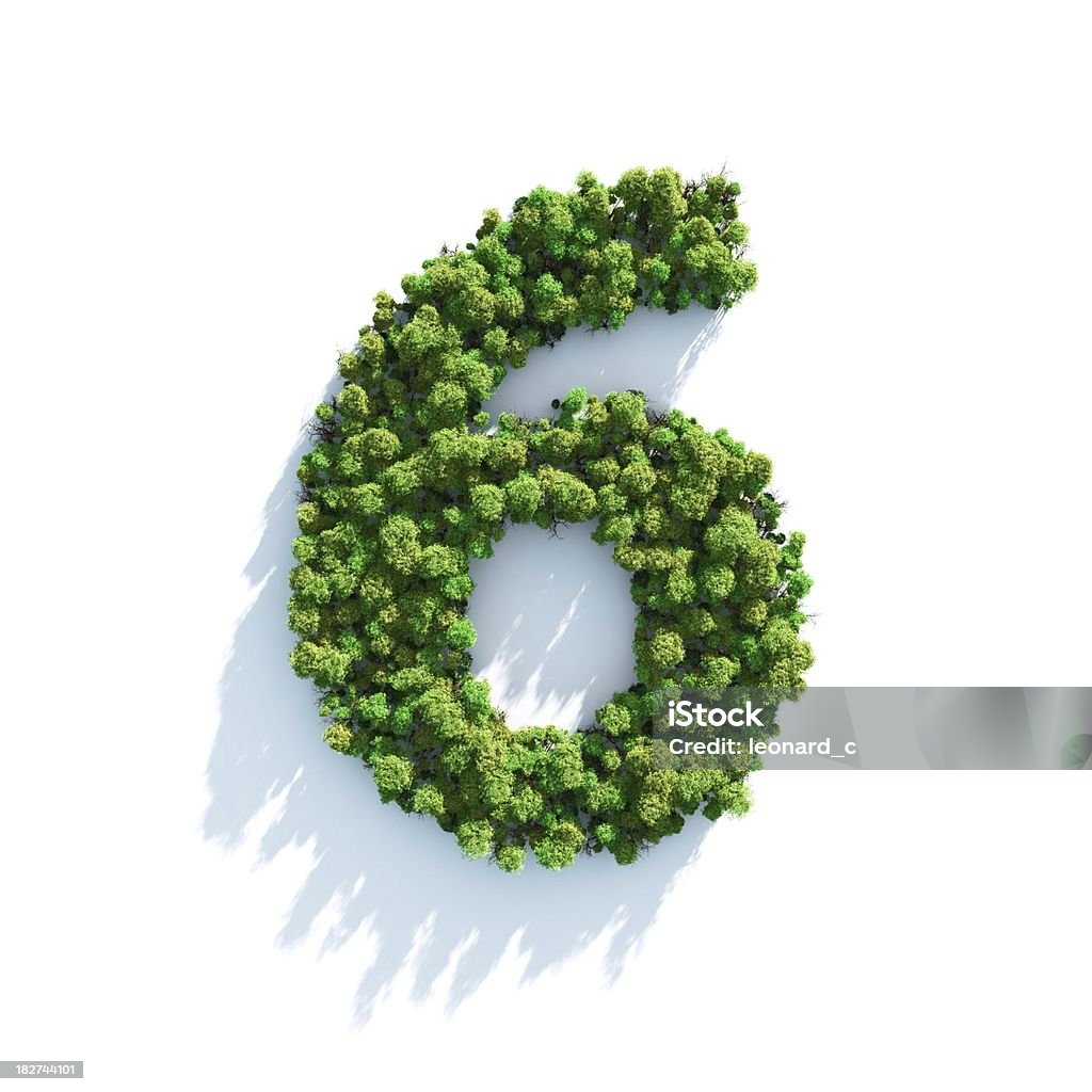 Number 6: Top View "Highly detailed tree alphabet on a white background. Morning light with projected shadows, which can be multiplied in an editing software for an easy composite over your own background. Lit with global radiosity." Number 6 Stock Photo