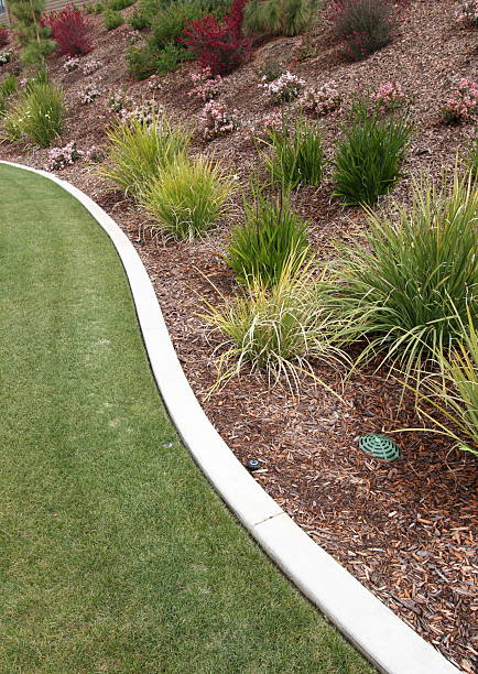 istock Landscaping and Mow Curb 182745477