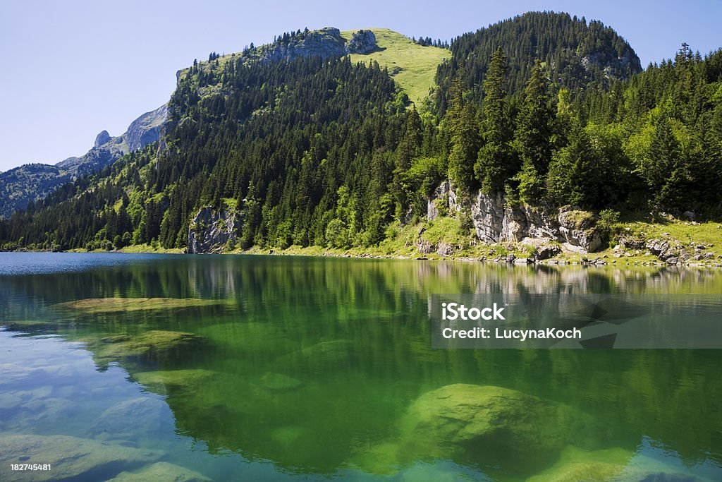 Lac de Taney - Lizenzfrei Bergsee - Mecklenburg-Vorpommern Stock-Foto