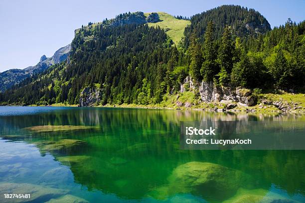 Lac De Taney Stockfoto und mehr Bilder von Bergsee - Mecklenburg-Vorpommern - Bergsee - Mecklenburg-Vorpommern, Schweiz, See