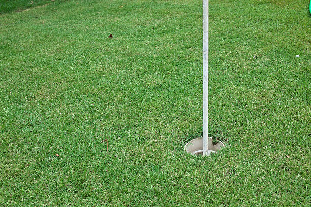 orificio de golf - putting down fotografías e imágenes de stock