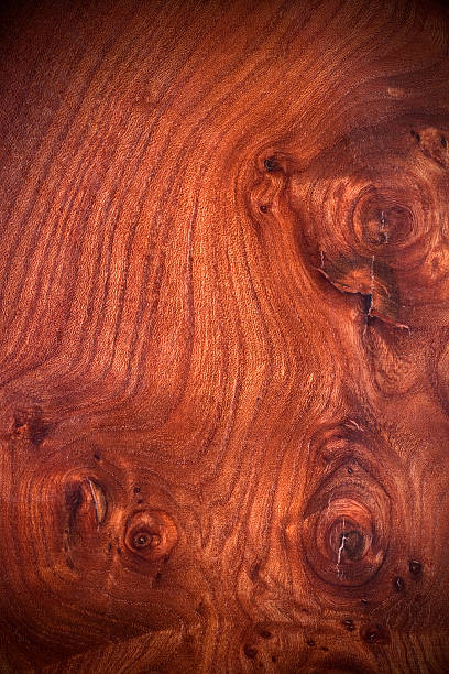 istock Rosewood Burl Texture Background 182745802