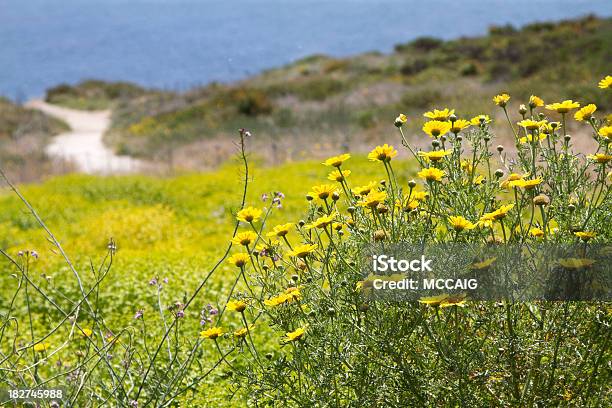 Point Dume Stock Photo - Download Image Now - California, Coastline, Dirt Road
