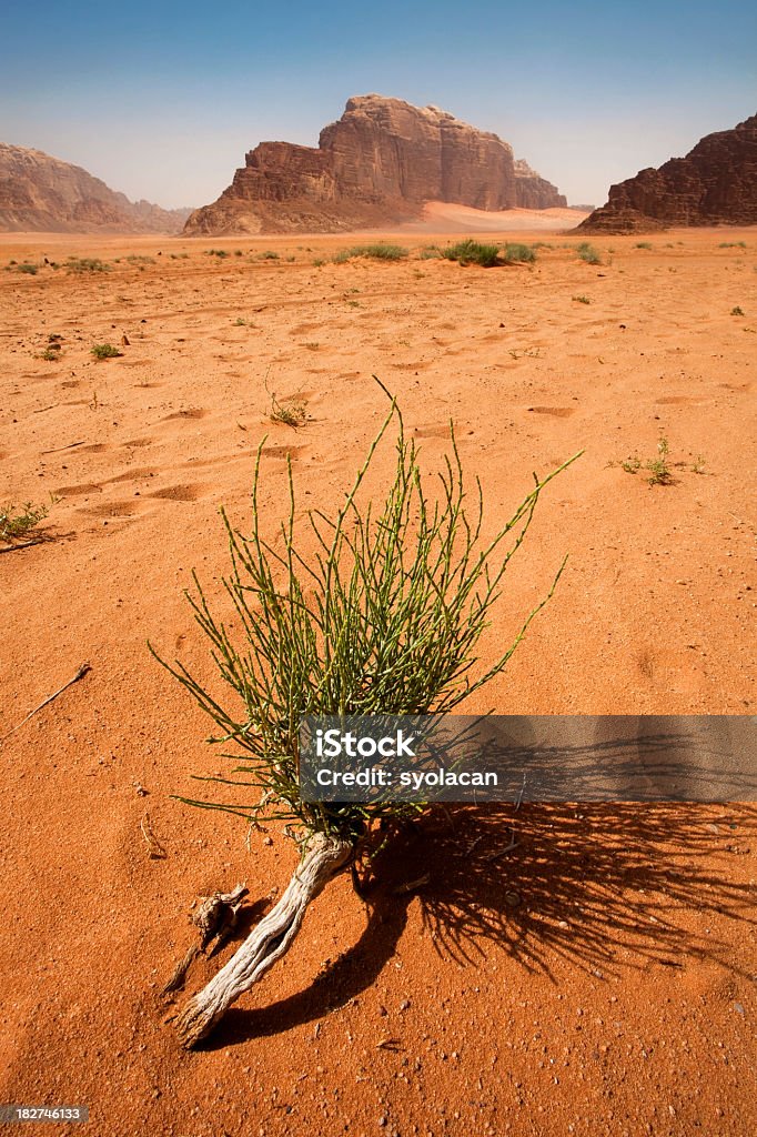ワジラム砂漠ヨルダン - アカバのロイヤリティフリーストックフォト