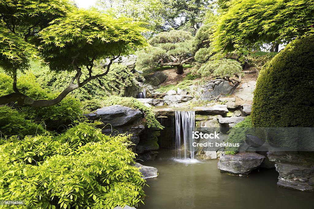 Wodospad w ogrodzie - Zbiór zdjęć royalty-free (Prospect Park)