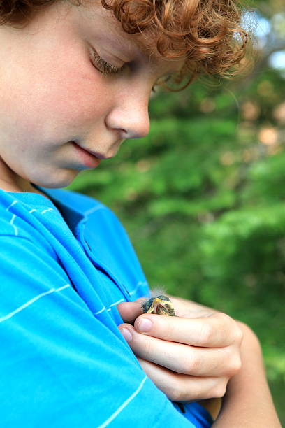istock Boy Holding Baby Bird 182746553