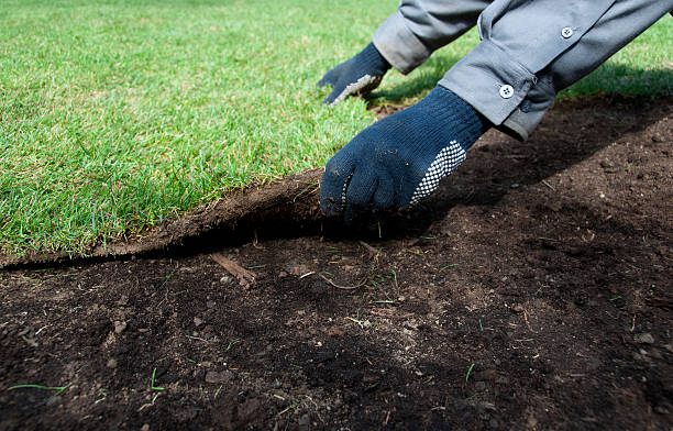 istock Working in the garden with roll out grass and turf 182746618