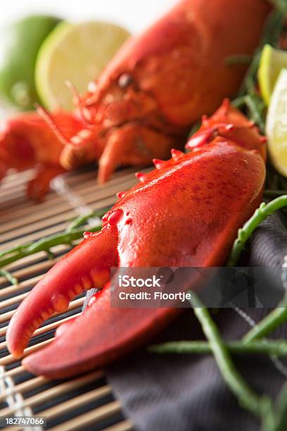 Photo libre de droit de Seafoodstills Homard banque d'images et plus d'images libres de droit de Abstrait - Abstrait, Aliment, Aliments et boissons