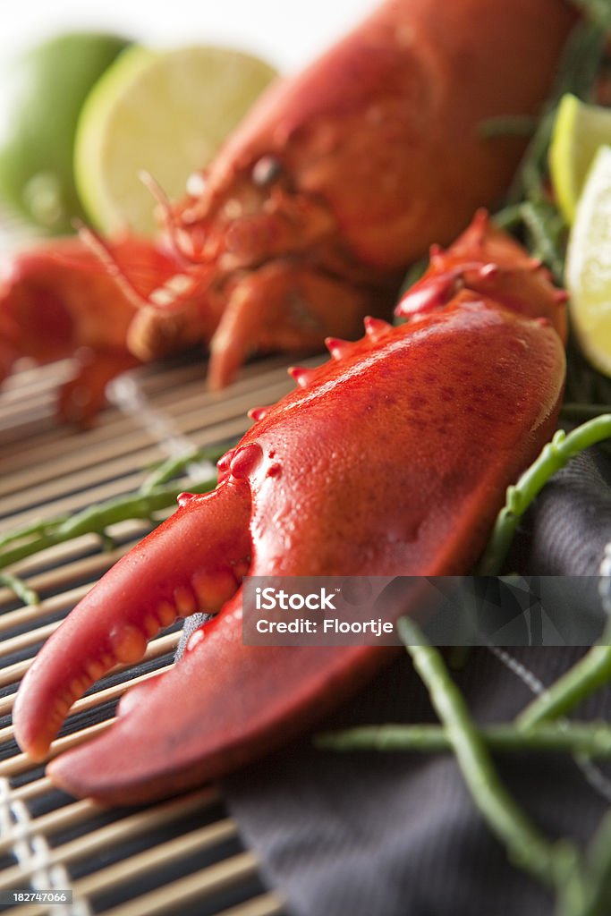 SeafoodStills: Lagosta - Foto de stock de Abstrato royalty-free