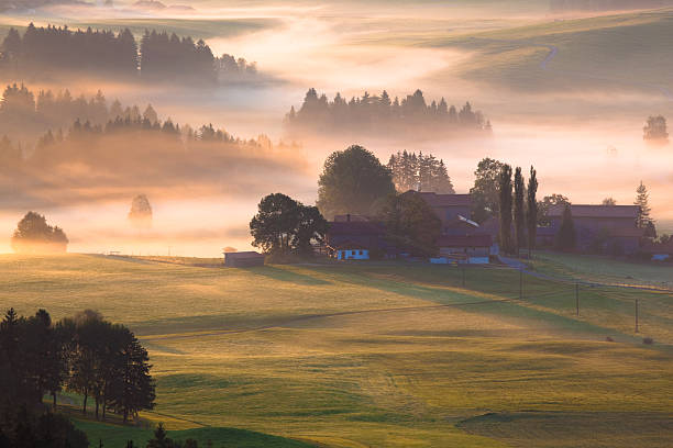 morning glory in bayern, deutschland - weiler im allgau stock-fotos und bilder