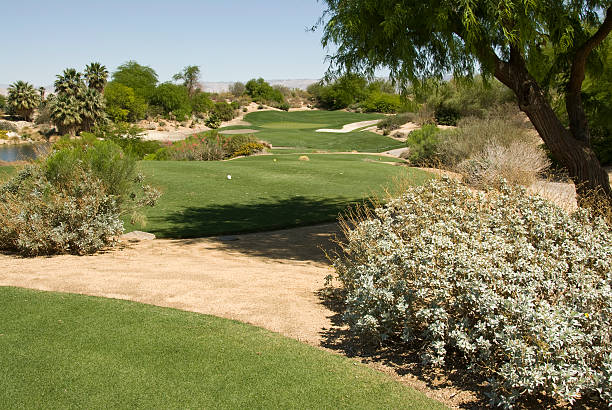 istock Firecliff Golf Course, Desert Willow, Palm Springs, California 182747564