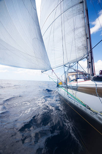 istock Sailboat Crossing the Pacific under Sail 182747579