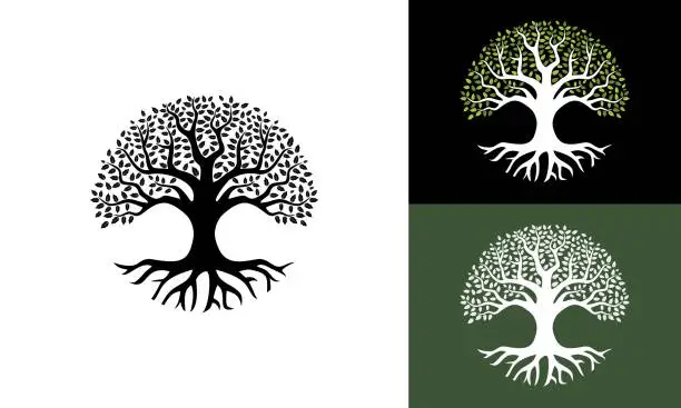 Vector illustration of Vector tree of life on white, black and green background