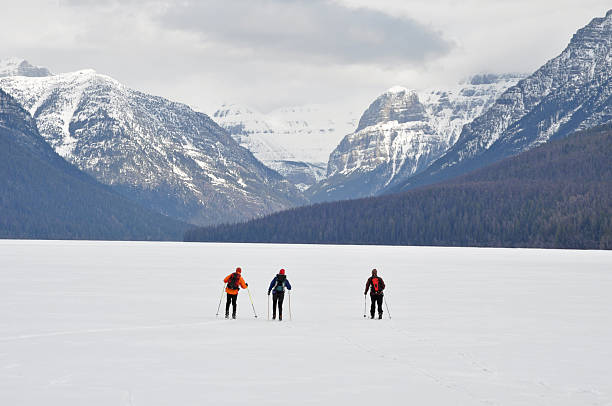 istock Backcountry Skiers on Bowman Lake 182747587