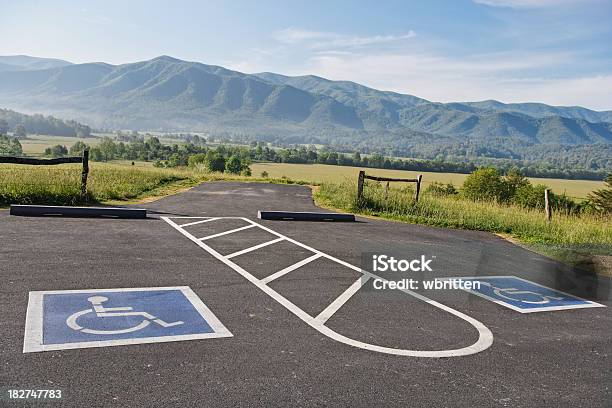 Acesso Para Deficientes Natureza - Fotografias de stock e mais imagens de Acessibilidade - Acessibilidade, Acesso para deficientes, Alfalto