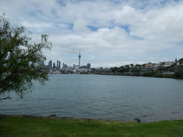 istock Auckland city. 1827477879