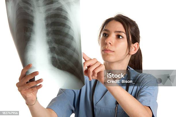 Female Doctor Xray Stock Photo - Download Image Now - Adult, Adults Only, Beautiful People