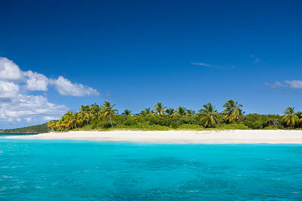 istock deserted Caribbean island with white sand beach and palm trees 182748089