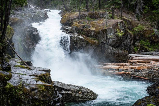 istock Silver Falls in Mount Rainier National Park 1827490219