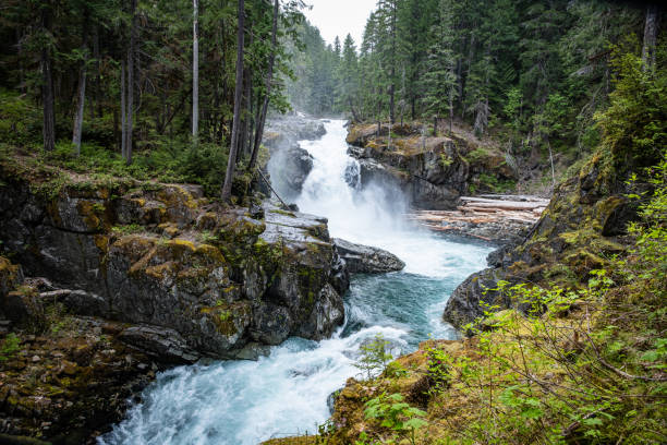 Wodospad Silver Falls w Parku Narodowym Mount Rainier – zdjęcie