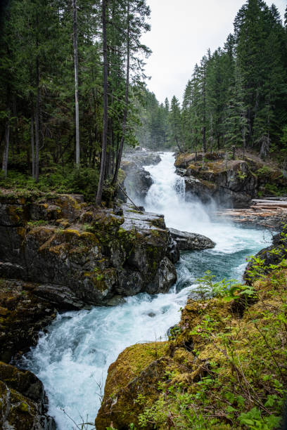 istock Silver Falls in Mount Rainier National Park 1827490230