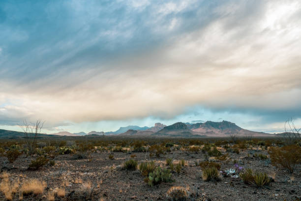 istock Rain Clouds Begin to Break Up Over The Chisos Mountains In Big Bend 1827490519