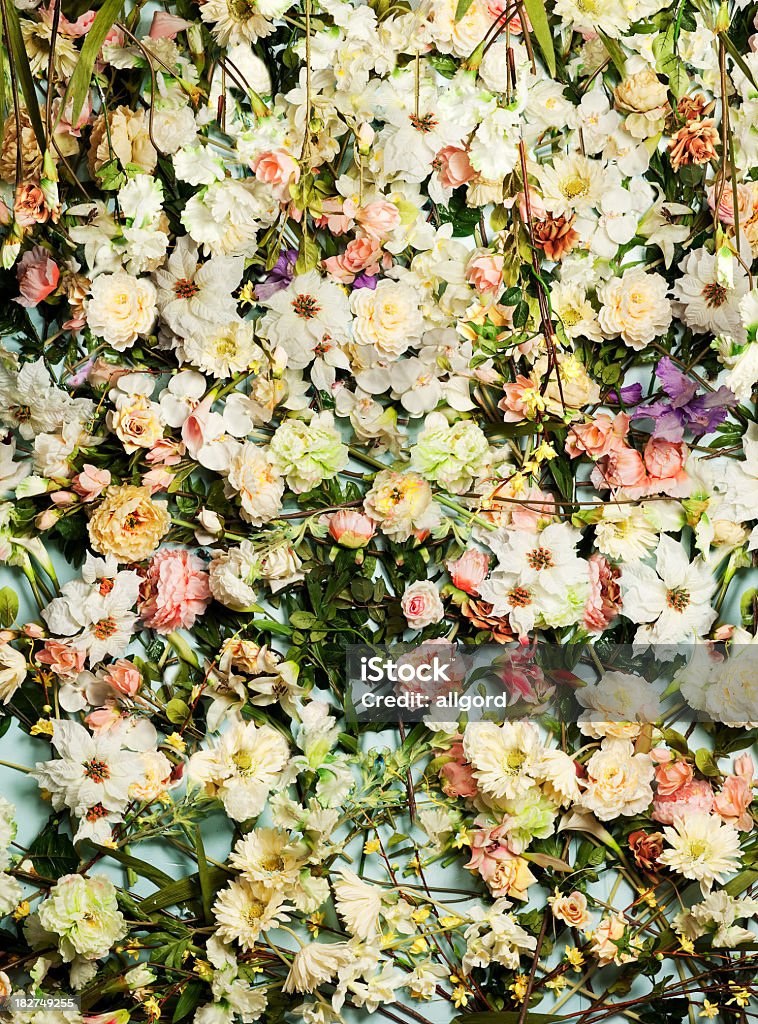 Hundreds of little daises and other flowers backgrounds The background of different, beautiful, fresh flowers. Exploding Stock Photo