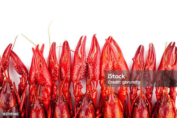 Cangrejo Muchos Rojo Aislado En Blanco Foto de stock y más banco de imágenes de Alimento - Alimento, Antena - Parte del cuerpo animal, Cangrejo de río - Marisco