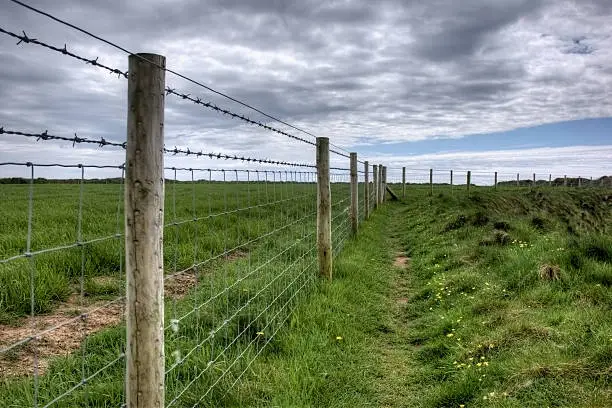 Fenceposts along coastal path