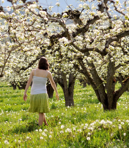 istock Girl in Orchard 182749378