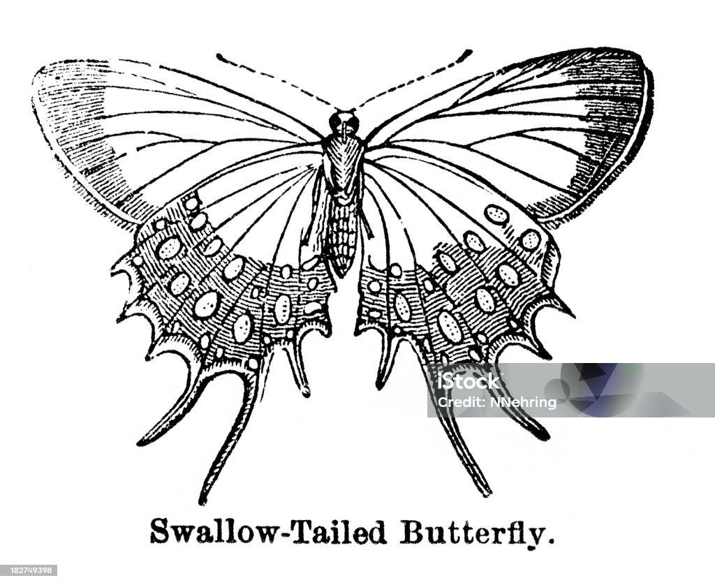 Farfalla di coda forcuta di incisione - Illustrazione stock royalty-free di 1880-1889