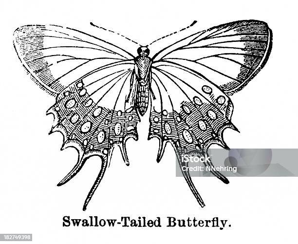 Farfalla Di Coda Forcuta Di Incisione - Immagini vettoriali stock e altre immagini di 1880-1889 - 1880-1889, Animale, Anno 1882