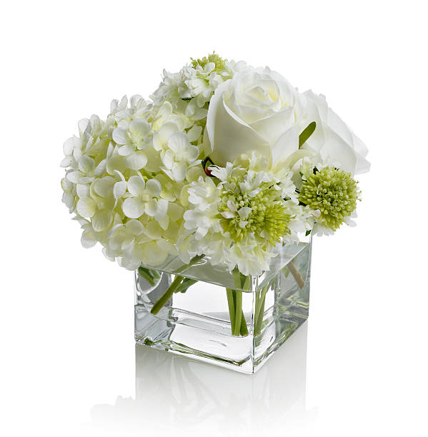 istock White rose and scabiosa bouquet on white background 182749911