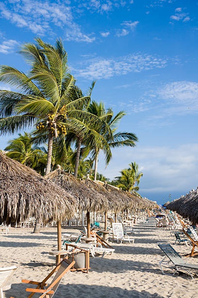 istock Beach Cabanas and Palms at Tropical Resort 182750217