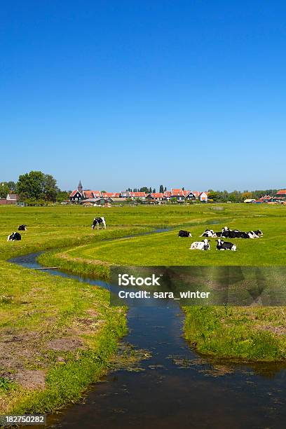 Dutch Country En El Paisaje En Un Día Soleado Transparente Foto de stock y más banco de imágenes de Agricultura